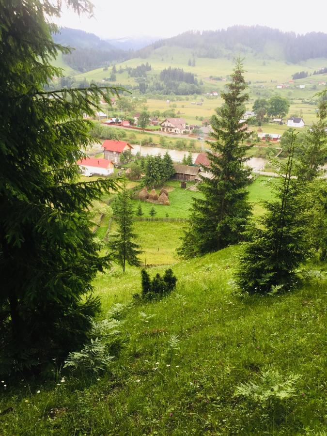 Casa Carmen Hotel Дорна Арини Екстериор снимка