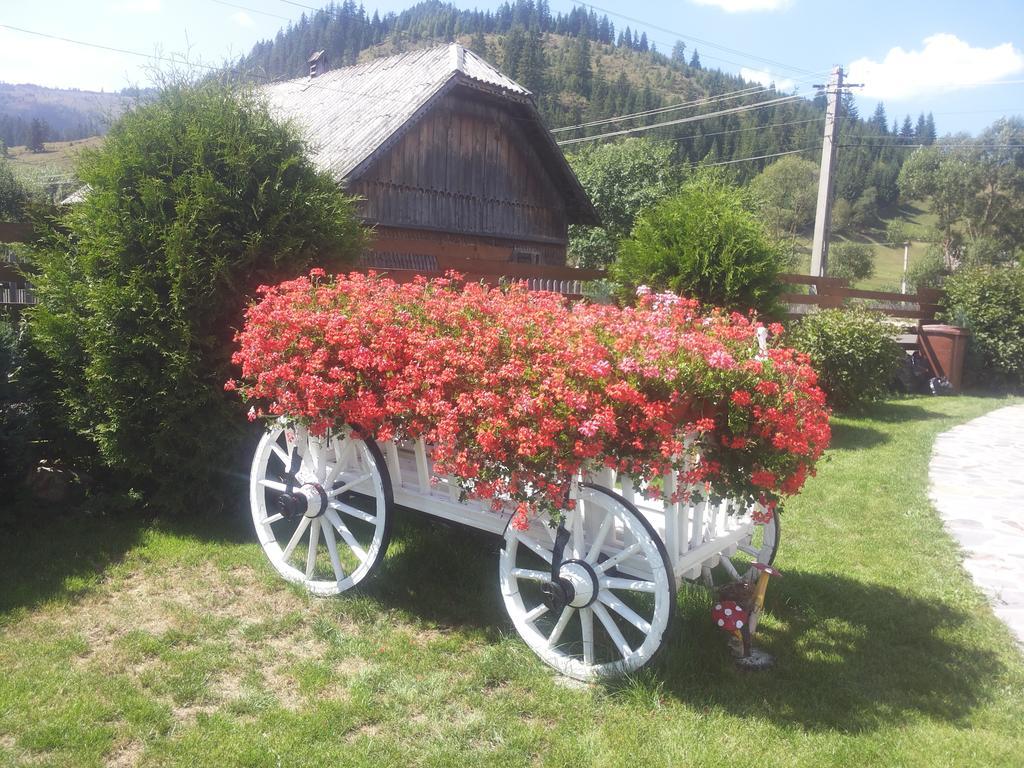 Casa Carmen Hotel Дорна Арини Екстериор снимка