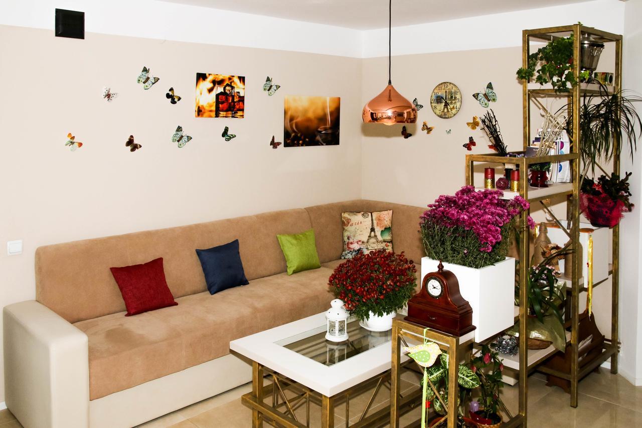 Casa Carmen Hotel Дорна Арини Екстериор снимка